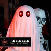 Haunted Hill Farm 5.9-Ft. Standing Animated Reaper with Ghost Anima...
