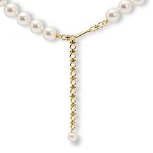 Heidi Daus Forever Love 18-1/2" Crystal Swan Drop Necklace