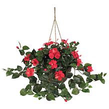 https://i04.hsncdn.com/is/image/HomeShoppingNetwork/prodgrid/hibiscus-hanging-basket-d-20190709145228973~9195799w_611.jpg