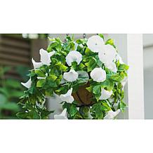 Improvements 11" Petunia Hanging Baskets - 2-pack