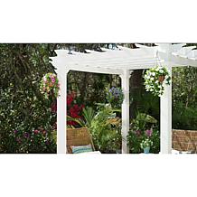 Improvements 11" Petunia Hanging Baskets - 2-pack