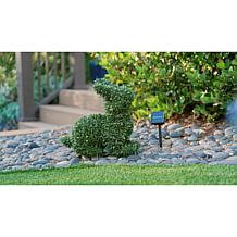 Improvements 15" LED Boxwood Bunny
