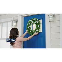 Improvements 21" Petunia Wreath