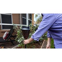 Improvements 38 Metal Solar Lantern with Planter & Stake