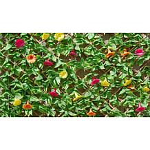 Improvements Petunia Expandable Fence