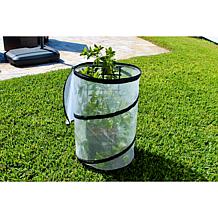 Improvements Pop-Up Greenhouse - Set of 2