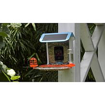 Improvements Solar Powered Smart Birdfeeder With Camera