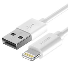iPhone Charger Set: Wall Charger + 4 Ft Lightning Cable - Silver