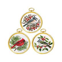 Janlynn Embroidery Kit 3X4 Set of 3-Winter Birds - Stitched In Floss