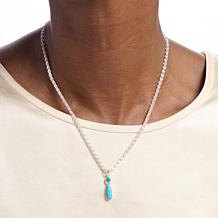 Jay King Angel Peak Turquoise Sterling Silver Pendant with Chain 