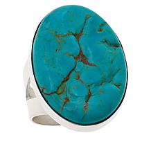 Jay King Chilean Turquoise Oval Sterling Silver Ring