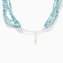 Jay King Sterling 4-Strand Waterfall Larimar & Blue Opal Necklace