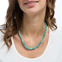Jay King Sterling Silver Baja Turquoise Necklace