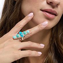 Jay King Sterling Silver Campitos Turquoise Ring
