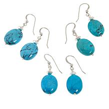 Jay King Sterling Silver Cloudy Mountain Turquoise Drop Earrings