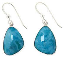 Jay King Sterling Silver Freeform Larimar Drop Earrings