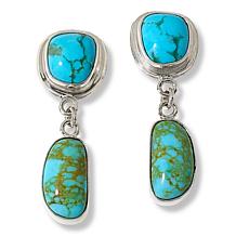 Jay King Sterling Silver Freeform Sonoran Turquoise Earrings