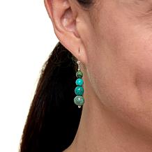 Jay King Sterling Silver Heavenly Well Lake Turquoise Drop Earrings