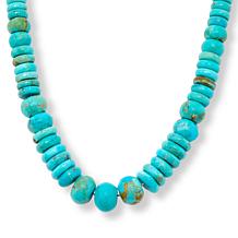 Jay King Sterling Silver Kingman Turquoise Bead 18" Necklace