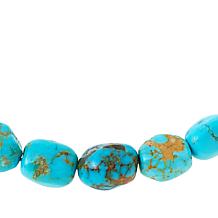Jay King Sterling Silver Peruvian Turquoise Bead 18" Necklace