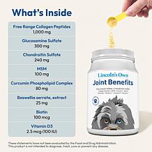 Joint Benefits for Dogs - 240 servings