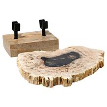 KALIFANO Petrified Wood Slice with Display Stand