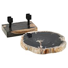 KALIFANO Petrified Wood Slice with Display Stand