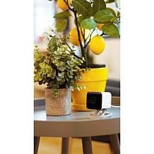 Kangaroo 3-pack Indoor/Outdoor Cameras with 1-Year Cam Protect Plan