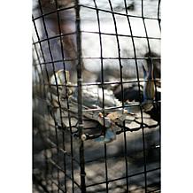 Kent Island Crab 8-count 4 oz. Jumbo Lump Crab Cakes Auto-Ship®