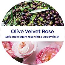 Korres 2-pack Olive & Velvet Rose Jumbo Size Body Cream Auto-Ship®