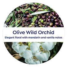 Korres 2-pack Olive & Wild Orchid Jumbo Size Body Cream