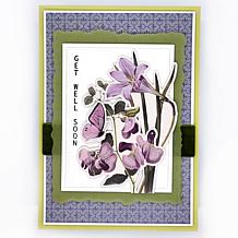 LDRS Creative Vellum and Cardstock All-Occasion Paper Crafting Bundle