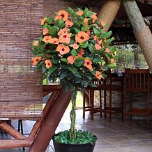 Leaf & Petal 1-Piece Peach Braided Hibiscus Tree