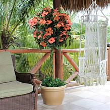 Leaf & Petal 1-Piece Peach Braided Hibiscus Tree