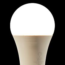 Living Glow Dusk-to-Dawn 4-pack LED Bulbs