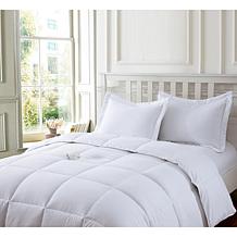 Lotus Home Stayclean BacteriaReducing WaterResistant ComforterSet Twin