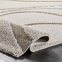 Modern Shag Rug