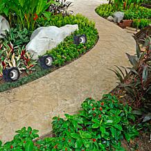 Nature Spring 4-Piece Solar Powered LED Rock Lights - Black