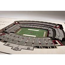 NCAA SC Gamecocks StadiumViews 3-D Wall Art - Williams-Brice Stadium 