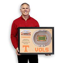 NCAA Tennessee Volunteers StadiumViews 3-D Wall Art - Neyland Stadium 