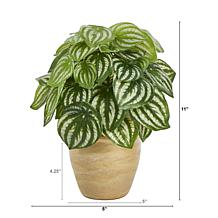 Nearly Natural 11” Watermelon Peperomia Artificial Plant (Real Touch)