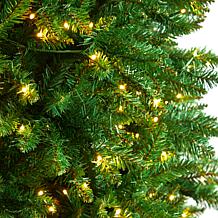 Nearly Natural 12’ Slim Green Mountain Pine  Christmas Tree
