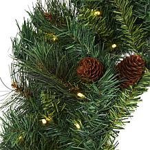 Nearly Natural 20" Pine & Pinecone Artificial Wreath w/ 35 Clear LEDs