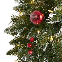 Nearly Natural 24 in. Frosted Christmas Wreath with 50 Lights