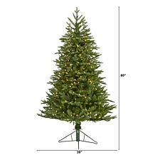 Nearly Natural 5 Ft. Cambridge Fir Christmas Tree with 300 LED Lights