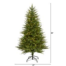 Nearly Natural 5 Ft. Wisconsin Fir Christmas Tree with 250 Lights