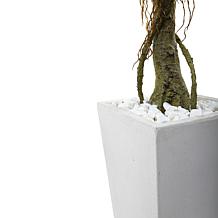 Nearly Natural 52" UV Resistant Ficus Tree with White Planter