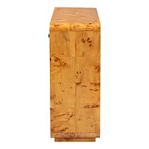 Netra Console Table with Natural Burl Wood and Storage