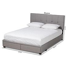 Netti Fabric Upholstered 2-Drawer Queen Size Platform Storage Bed