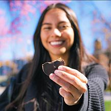 No Sugar Company 60-count Cupz - Peanut Butter and Fudge Brownie - AS